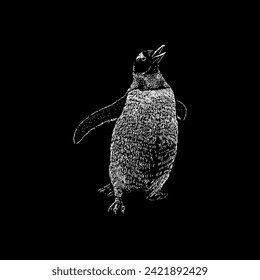 gentoo penguin hand drawing vector isolated on black background.