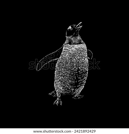 Similar – Image, Stock Photo pi-pa-penguin Zoo Animal