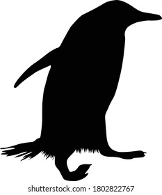 Gentoo Penguin (Pygoscelis papua) Silhouette Found In Sub Antartic Ocean