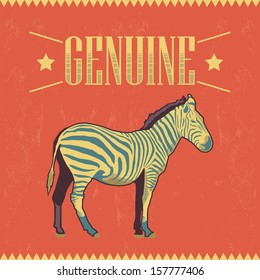 Rótulo de vetor de zebra original - cartão