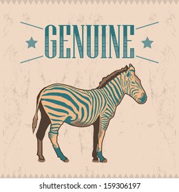 Genuine Zebra vector vintage label - card 