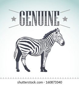 Genuine Zebra vector vintage label - card
