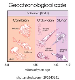 Geochronological scale. Part 3 - Paleozoic Eon (Part 1). International chronostratigraphic units, ranks, names.