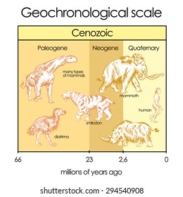 Geochronological scale. Part 5 - Cenozoic Eon. International chronostratigraphic units, ranks, names.