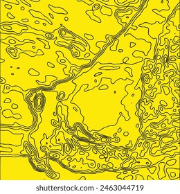 Geodetic lines. Topography. Relief. Abstract vector pattern