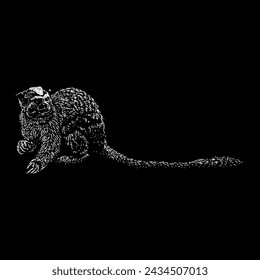 geoffroys tamarin hand drawing vector isolated on black background.