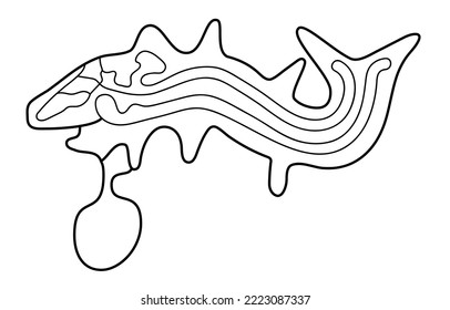 Geoglyph of the killer whale from Nazca, The Nazca Lines, Nazca Desert, Peru