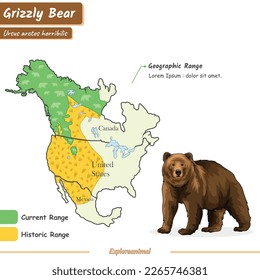 geographic range of grizzly bear.
from historical to current range.
vector, ready to use, infographic.