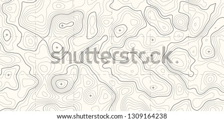 Geographic topographic map grid. Topography map background. Vector banner.