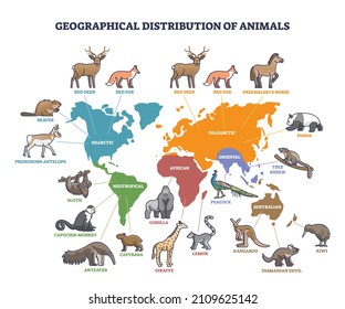 Geographical distribution of wild animals on world map outline concept. Labeled educational places of living mammals vector illustration. Palearctic, oriental, african, nearctic and neotropical zones.