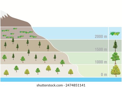 Geography flora. Plants according to elevation levels
Map showing its distribution. Mathematics, geography, physics question.