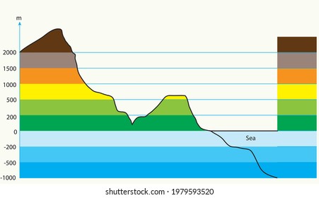 Geography landforms and elevation vector illustration. Elevation and colors