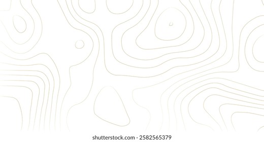 Geography landscape Topo contour map on white background, Topographic contour lines. Seamless pattern with lines Topographic map. Geographic mountain relief diagram line wave carve pattern. 