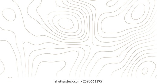 Geography landscape Topo contour map on white background, Topographic contour lines. Seamless pattern with lines Topographic map. Geographic mountain relief diagram line wave carve pattern. 