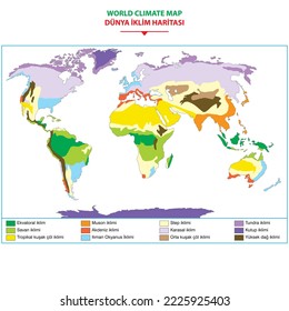 Geography. World climate map. Vector illustration.