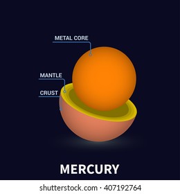 Geological structure of the Mercury. The internal structure of the Mercury