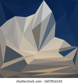 Geometric abstract background print low poly mosaic style