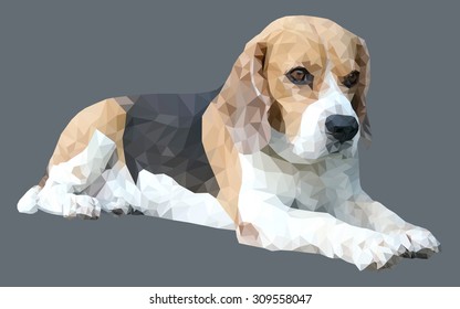 geometric beagle dog