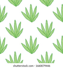 Geometric botanical exotic backdrop. Abstract cactus seamless pattern on white background. Cacti wallpaper. Design for fabric, textile print, wrapping paper. Creative vector illustration