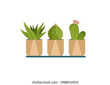 Geometric cacti in pots. Indoor green succulents of various shapes with flower. Beautiful natural decor apartment and home interiors. Plants for minimalist design. Vector cartoon illustration