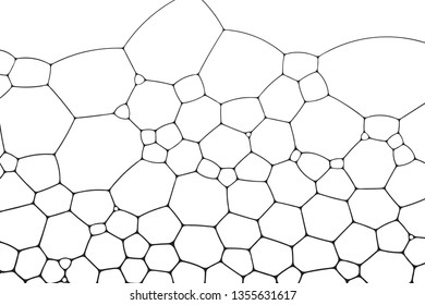 Geometric cells formed by soap bubbles and water