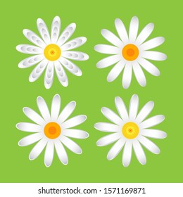 The geometric chamomile flowers. Set single flower 
of white daisies made of simple geometric shapes on a green background, icon, vector