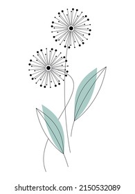 Geometric dandelion flowers with contour leaves vector simple illustration isolated on white. Set of floral linear design element for print, background, banner or card.