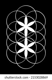 Geometric design with overlapping circles forming the so-called flower of life. Mandala for t-shirts or posters.