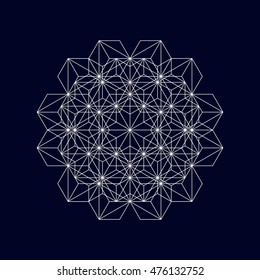 Geometric element, vector.