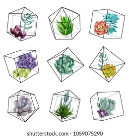 Geometric elements, cacti and succulents in terrariums. Vector illustration