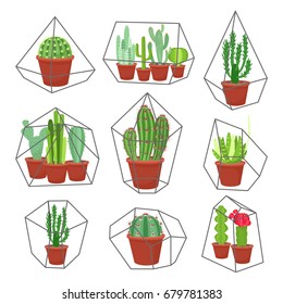 Geometric florarium with cactus and succulents set. Vector illustration isolated on white background.