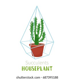 Geometric florarium with cactus and succulents set. Vector illustration isolated on white background.