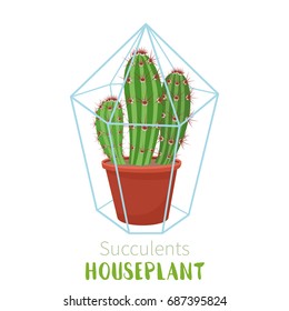 Geometric florarium with cactus and succulents set. Vector illustration isolated on white background.