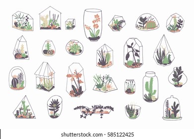 Geometric florarium with succulents set. Vector illustration.