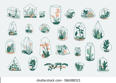 Geometric florarium with succulents set. Vector illustration.