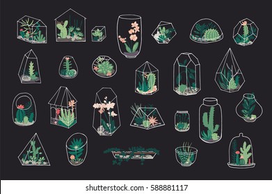 Geometric florarium with succulents set. Vector illustration.