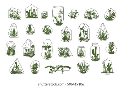 Geometric florarium with succulents set. Vector illustration.