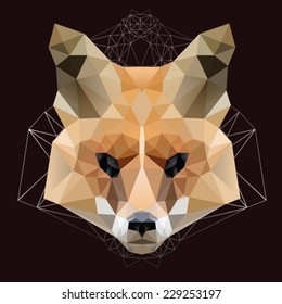 geometric Fox head abstract isolated on a black background, vector illustration 