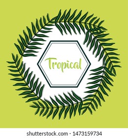 geometric frame with tropical leafs