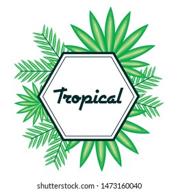 geometric frame with tropical leafs