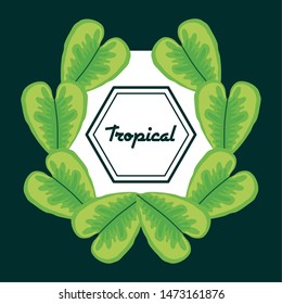 geometric frame with tropical leafs