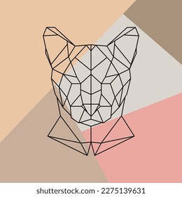 Geometric head of African Puma. Cheetah geometric icon. Wild cat vector illustration.