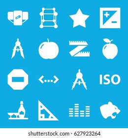 Geometric icons set. set of 16 geometric filled icons such as apple, panther, compass, diaper, champagne and wine glasses, equalizer, light exposure, ISO, star, triangle, cube