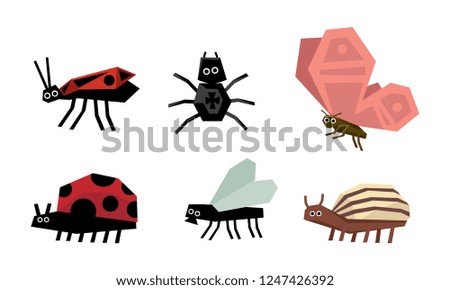 Geometric insects set, spider, bug, ladybug, colorado potato beetle, fly, butterfly vector Illustration