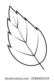 Geometric Leaf Outline Drawing on a White Background