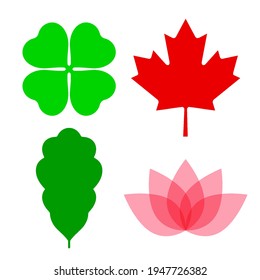 Geometric leaves of clover, maple, oak and lotus flower. Vector illustration isolated on white.