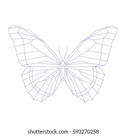 Geometric Linear Butterfly. Vector Illustration