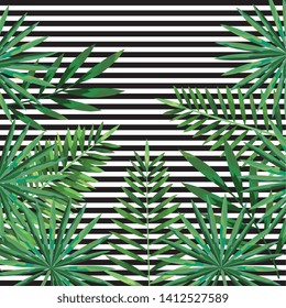 geometric lines texture and tropical background