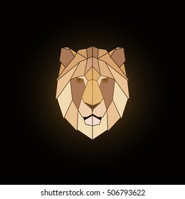 Geometric lion head design on black background. Vector illustration.