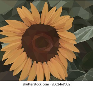 Geometric, low poly, illustration of a faded yellow sunflower with a background of leaves